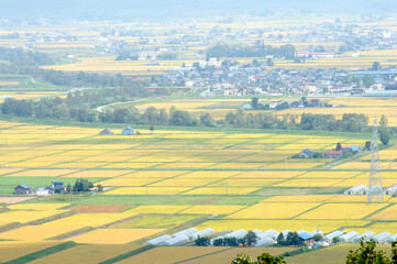 田園地帯