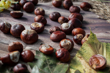 
Chestnuts on the table in different dishes. And there are leaves nearby.