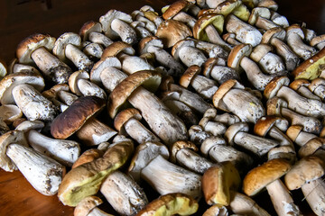 Mushrooms Boletus edulis over wooden background, close up on wood rustic table. Cooking delicious organic mushrooms.
