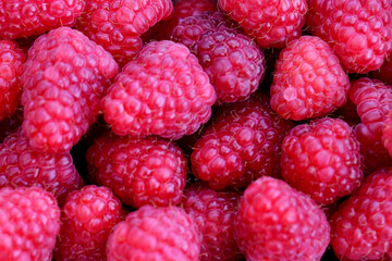 Pile of pink Raspberries on fruit market - background