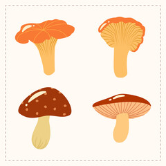 Plakat Cartoon icon four pieces mushrooms. Autumn harvest. Vector EPS10 illustration isolated on white background.