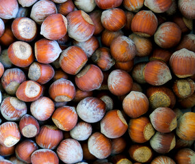 hazel nuts background