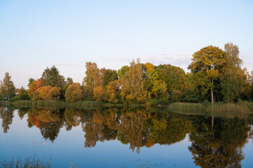 Obraz premium autumn trees reflected in water