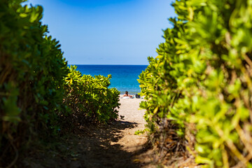 path to the beach