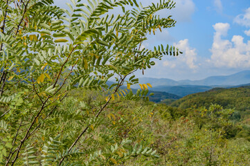 Beautiful mountain range in summer against a blue sky with clouds. blurry focus