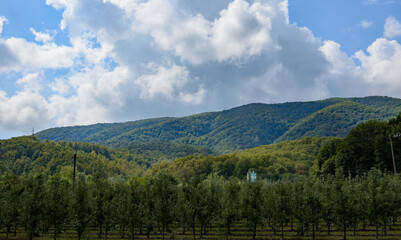 Beautiful mountain range in summer against a blue sky with clouds. blurry focus