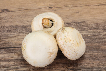 Raw Champignon heap for cooking