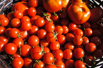 tomatoes in a market