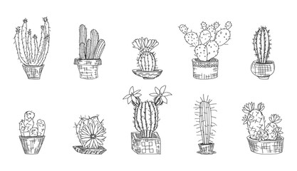 selection of cacti on a white background. Doodle