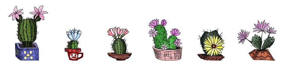 a selection of cacti with potted flowers. doodle