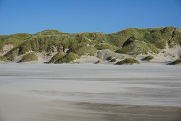 Sandstrand mit bewachsenen Dünen und blauen Himmel in Dänemark