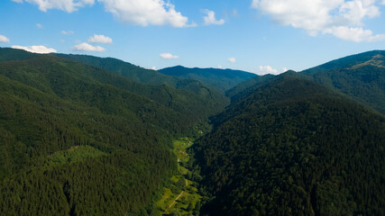 Naklejka premium road under forest near a lake, aerial view in the daytime