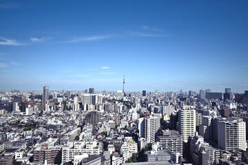 Fototapeta premium TOKYO SKY TREE