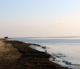 Seaweed and sand on the beach