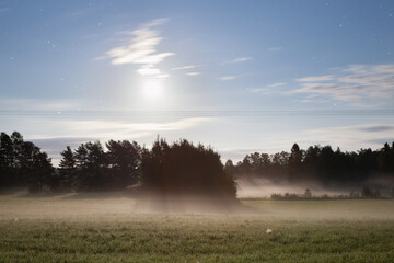 Foggy night and moonlight in countryside