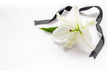 Funeral symbols. White lily with black ribbon, top view - obrazy, fototapety, plakaty
