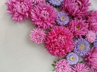 bouquet of chrysanthemums
