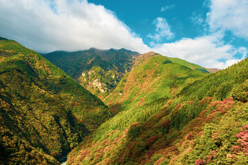 【徳島県 三好市】祖谷渓からみる秋の山の自然風景
