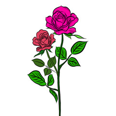 Obraz premium Beautiful rose bouquet flowers and green leaves growth on white background,hand drawn,creative with illustration in flat design.Floral pattern,decorative series for wallpaper.Valentine day concept.