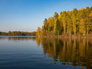 Golden autumn in Karelia, north west of Russia. Colorful trees on the shore of the forest lake with a calm water