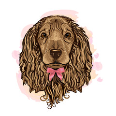 Cute Spaniel dog puppy. Wall sticker	dog with a pink bone