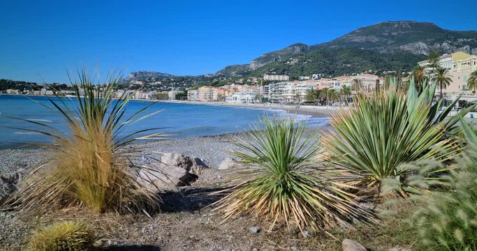 Cacti By The Mediterranean Sea In The City Of Menton On The French Riviera, France, Europe
