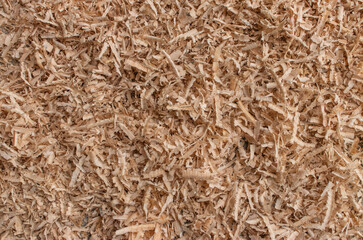 Sawdust or wood shavings textured and background in top view as wallpaper and backdrop