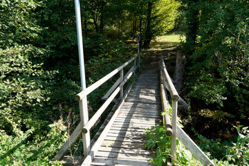wooden bridge in the forest