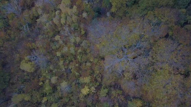 Kozuf Mountain - Macedonia