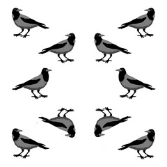 Seamless ornament pattern with gray crows