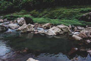 Naklejka na ściany i meble Beautiful river flowing over rocks and through rainforest