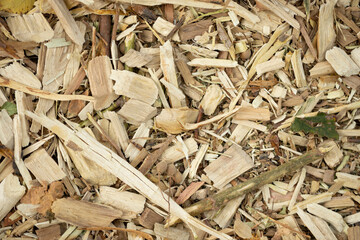 Wood chips background. Macro shot.