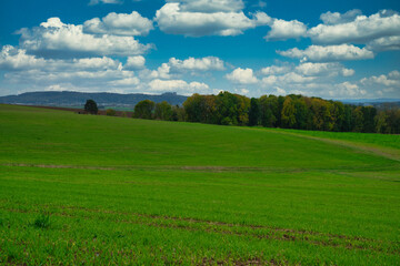 Coburger Land  Oberfranken Deutschland mit Saat im Herbst