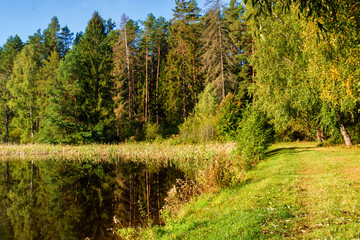 Fototapeta na wymiar Jezioro Komosa w Puszczy Knyszyńskiej, Podlasie, Polska