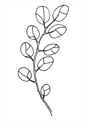 Abstract plant line art. Hand drawn vector illustration for decoration purposes. Isolated on white