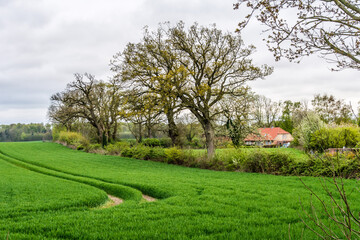 4506  Landschaft - am Gutshof