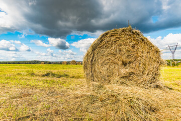  bale of hay