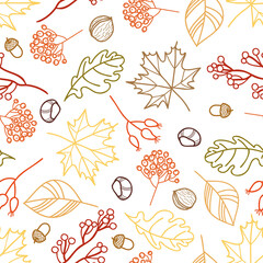 Vector autumn leaves, berries, nuts repeat pattern background