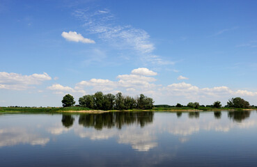 Fototapeta na wymiar Fluss Elbe mit im Wasser gespiegelten Bäumen
