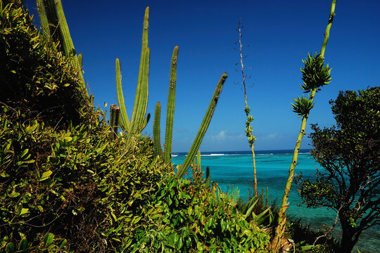 Błękitne morze i zielone wybrzeże karaibskich wysepek Grenadyny w lutym 