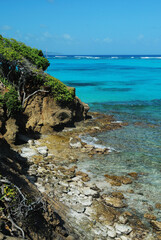 Błękitne morze i zielone wybrzeże karaibskich wysepek Grenadyny w lutym  © Przemek