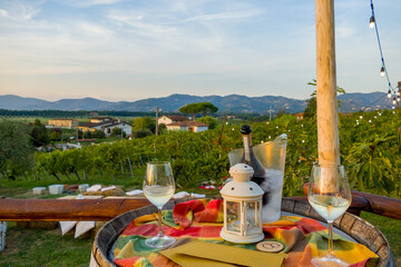 Picnic and wine tasting at sunset in the hills of Italy, Tuscany. Vineyards and open nature in the...