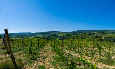 Fototapeta na wymiar Landscape panorama from Tuscany, in the Chianti region. Italy.