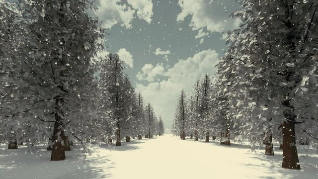 Forest wonderland winter snow landscape 4k
