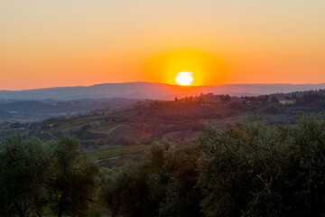 Sunset over the winyards and cypress of the Tuscany, Italy with San Gimignano in the background