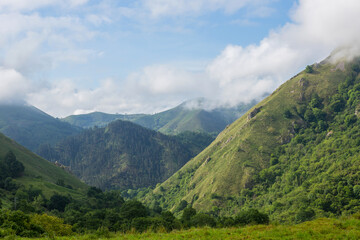 Fototapeta premium Picos de Europa