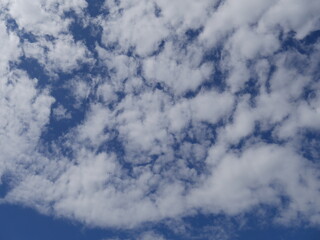 Obraz premium clouds in the sky