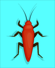 An orange coloured cockroach.