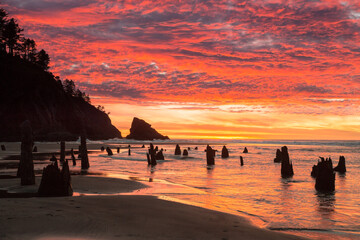 Sunser on the central Oregon Coast at Neskowin beach, just north of Lincoln City  Centuraries old tree stumps are in the foreground  Centuries old tree stumps are in foreground. © Bob