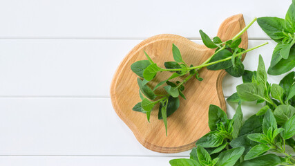 sprigs of fresh oregano on a cutting Board top view. a bunch of fresh oregano on a white background top view. background with fresh oregano.
